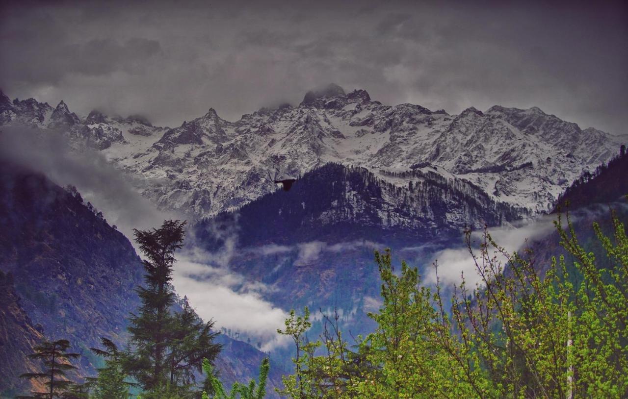 Memoir Homestay Kasol Kültér fotó
