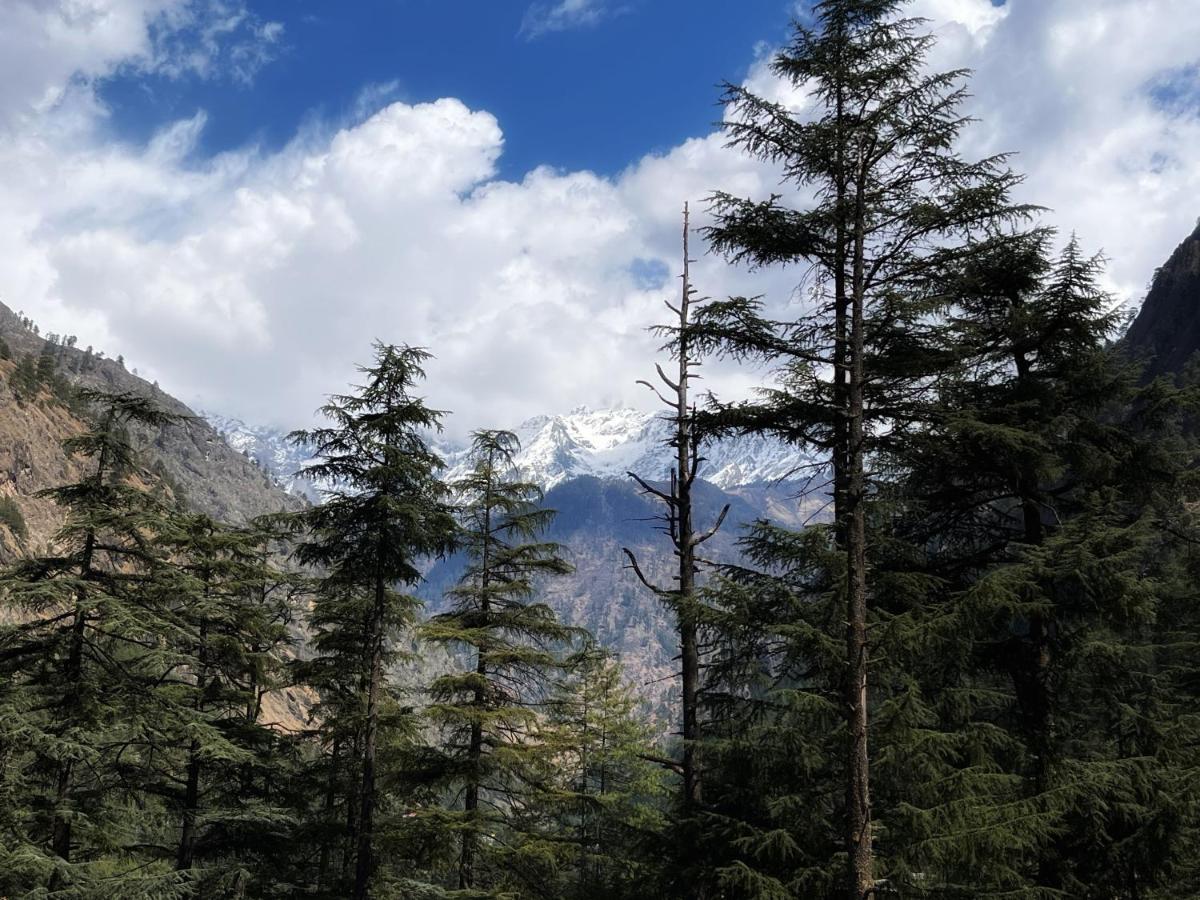 Memoir Homestay Kasol Kültér fotó